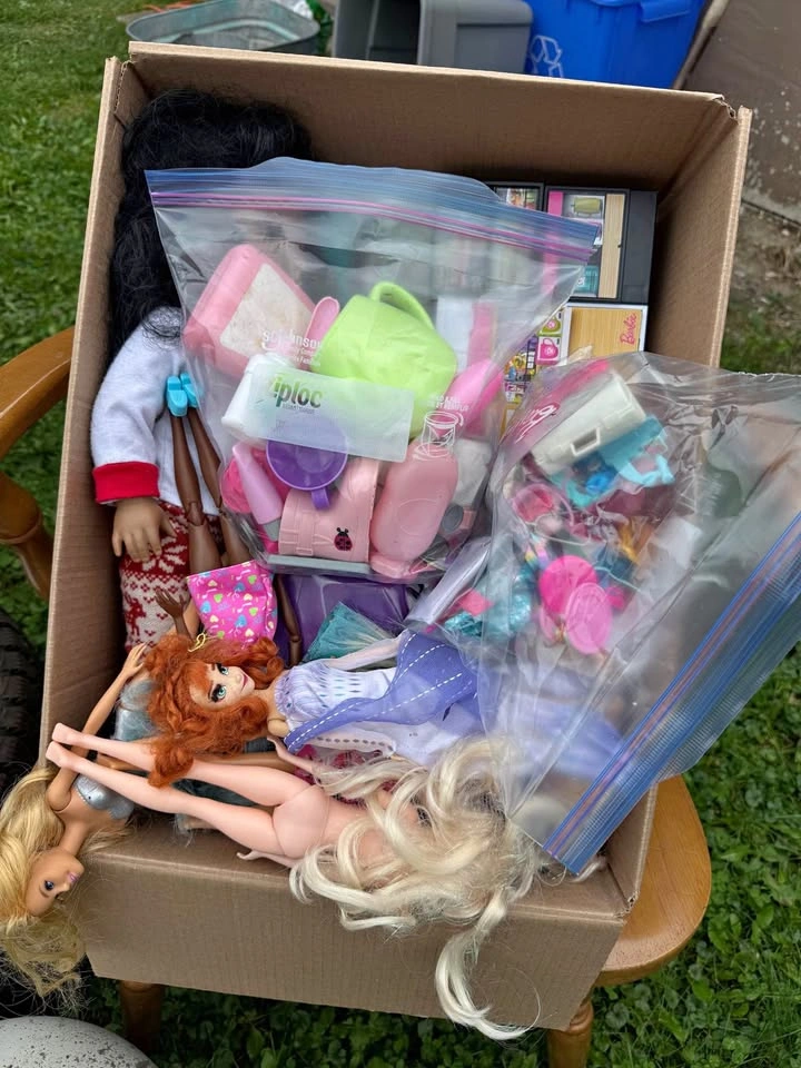 Barbie and 18-inch Doll Lot with Accessories