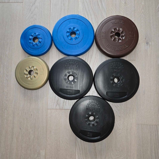 Weider and York Barbell Weight Plates