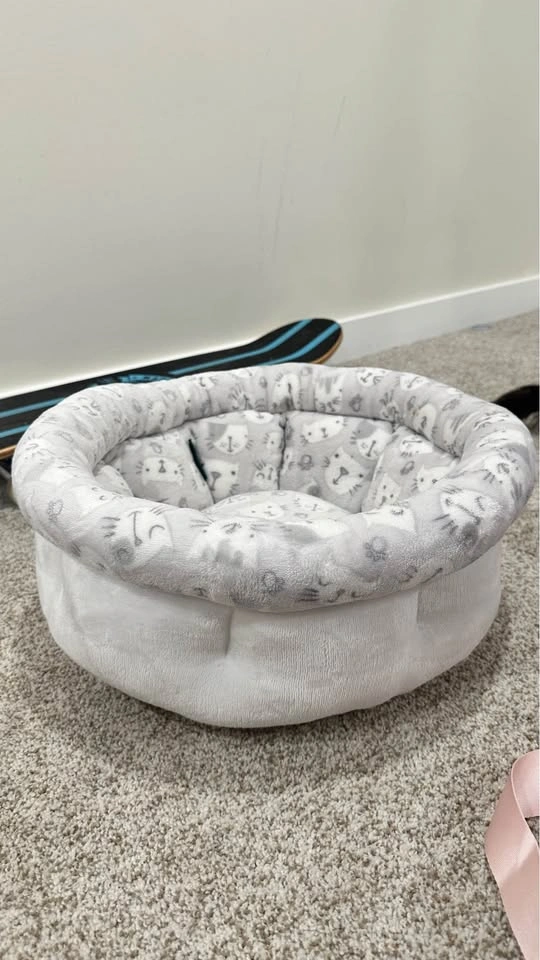 Cat bed