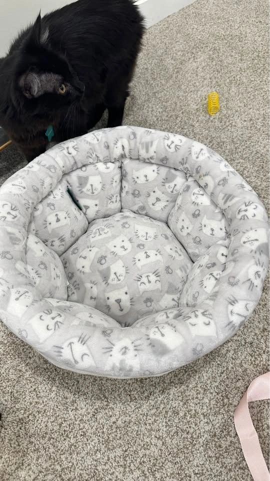 Cat bed - photo 2