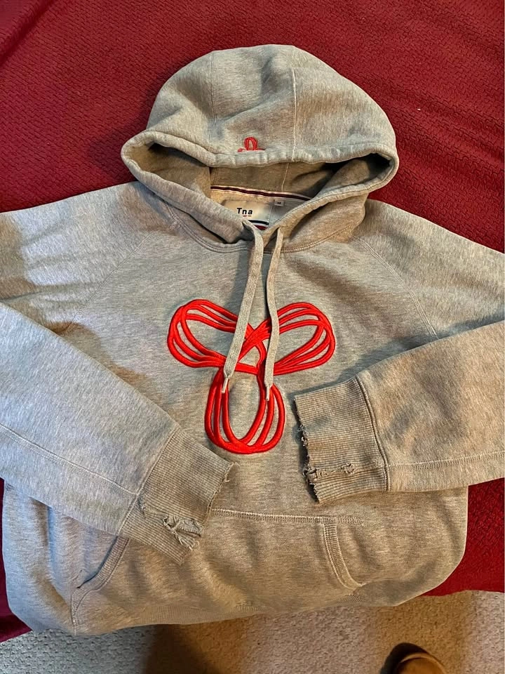 Tna Aritzia Grey Hoodie