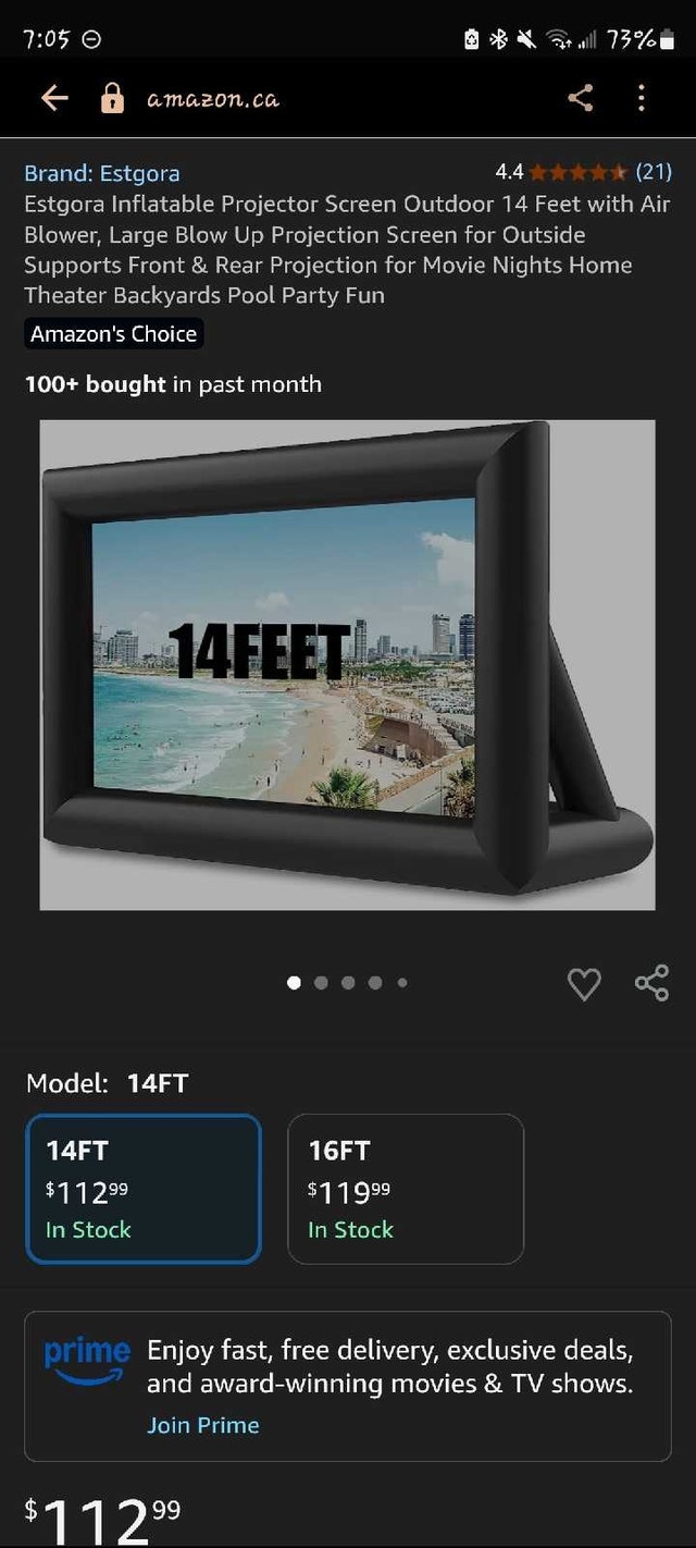 Estgora 14-Foot Inflatable Projector Screen