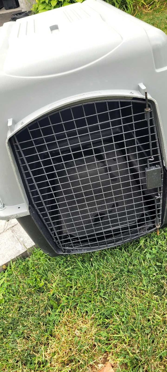 Large Dog Crate