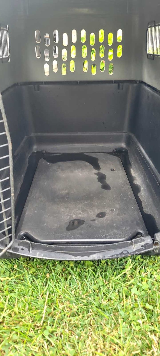Large Dog Crate - photo 4