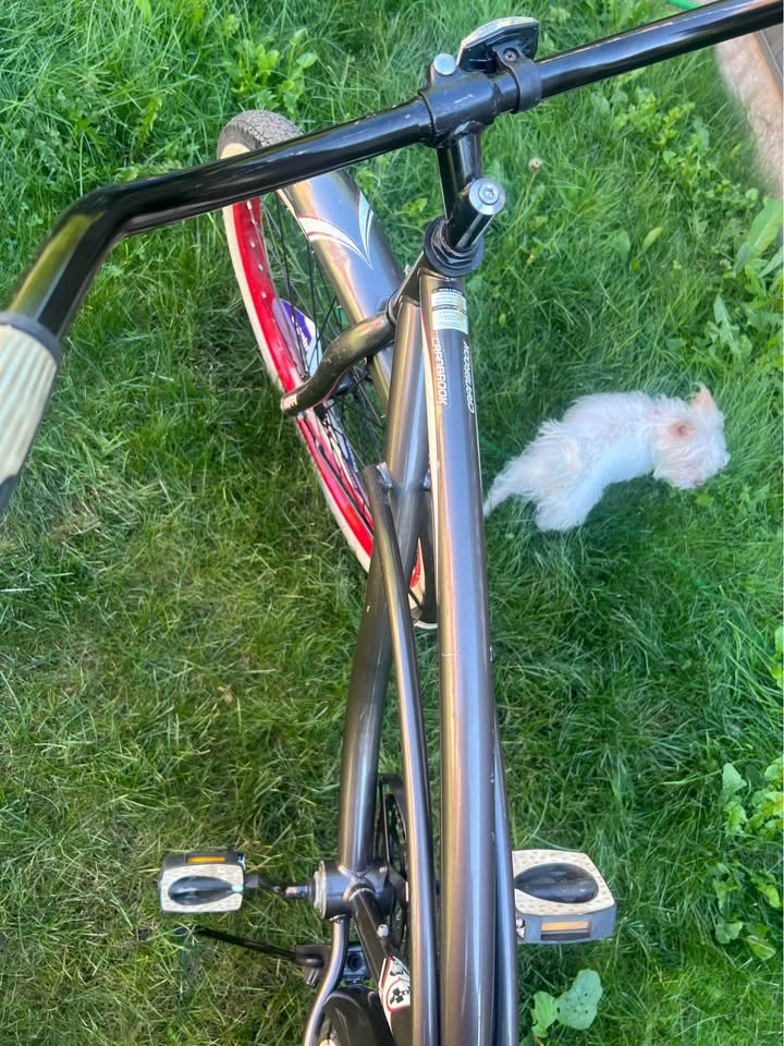 Huffy Cranbrook Vintage Cruiser 26-inch Single Speed Bike - photo 5