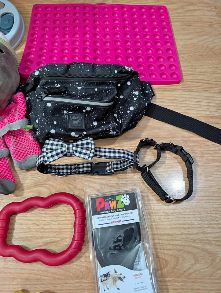 Dog Bundle (Toys, leashes, boots, enrichment)