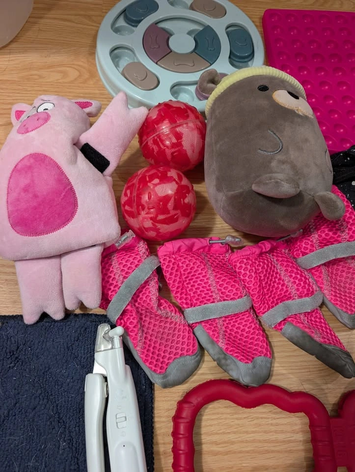 Dog Bundle (Toys, leashes, boots, enrichment) - photo 2