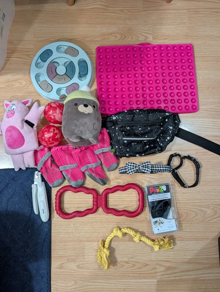 Dog Bundle (Toys, leashes, boots, enrichment) - photo 3