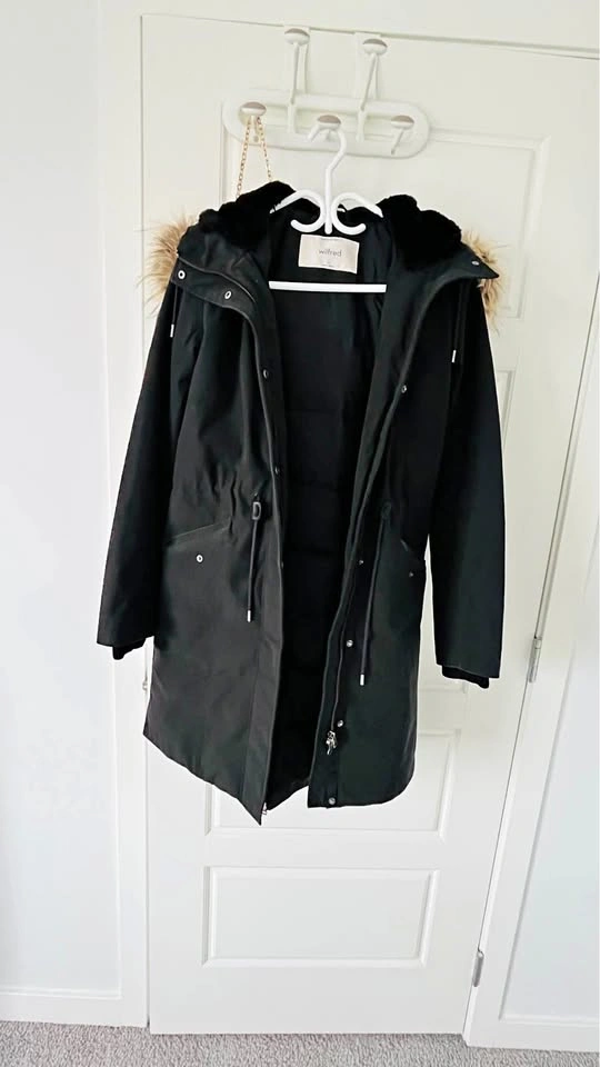 Aritzia Wilfred Northstar Parka