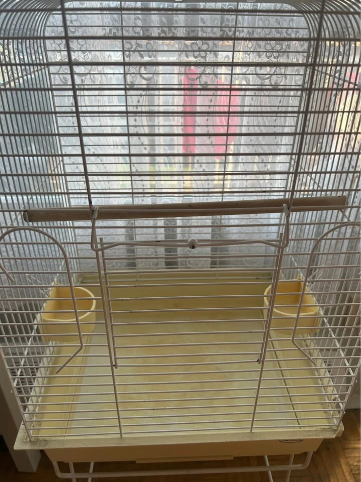 Bird cage with food - photo 2