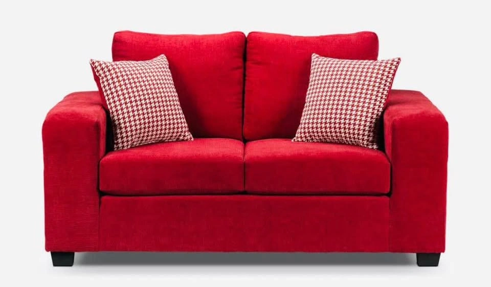 Leon’s loveseat Sofa with Pillows - photo 2