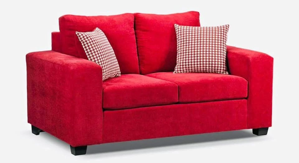 Leon’s loveseat Sofa with Pillows - photo 3