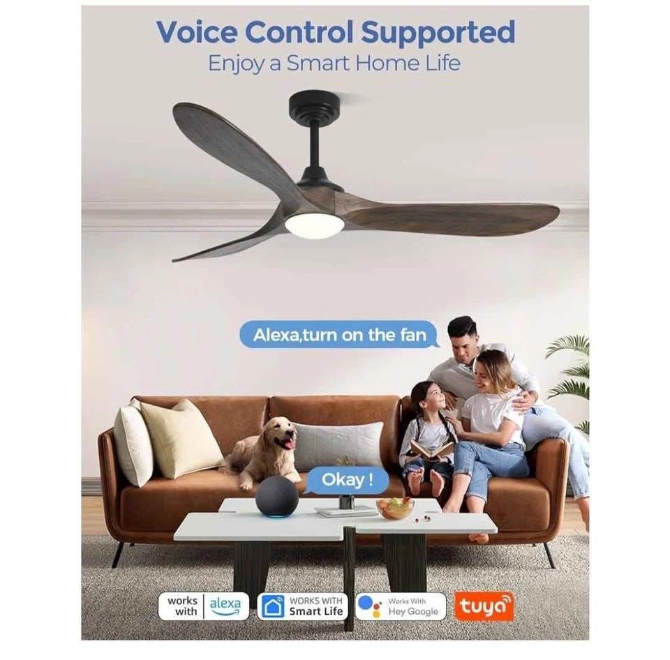 60 inch Outdoor Ceiling Fan with Lights & Smart Control - photo 3