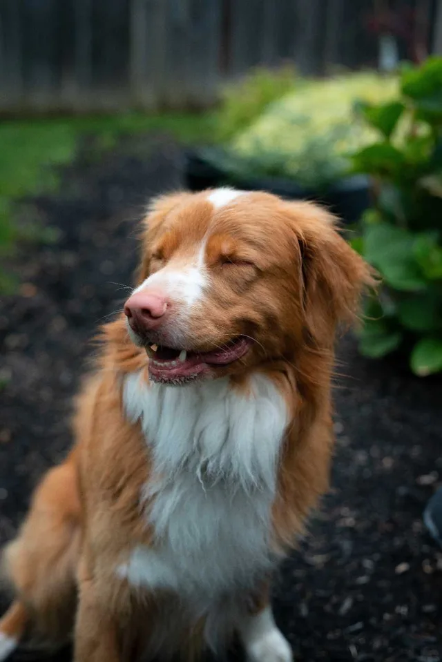 Photography Minis image indicator(8)