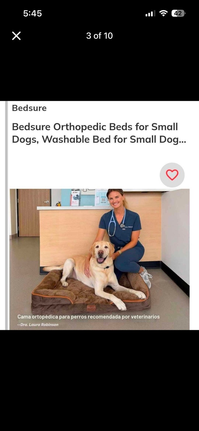 Bedsure Orthopedic Washable Dog Bed for Small Dogs (Brown) - photo 3