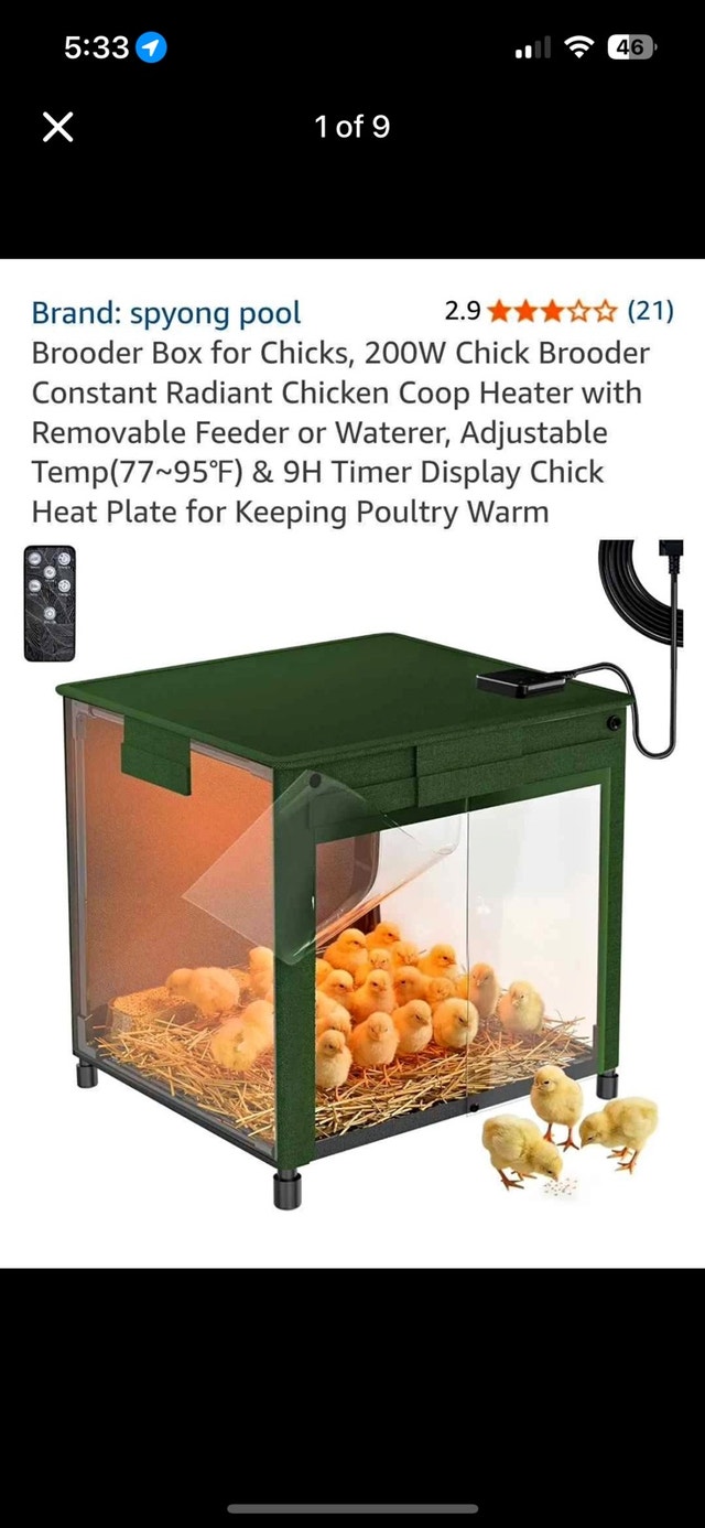200W Chick Brooder Box & Radiant Heater Kit (Green)