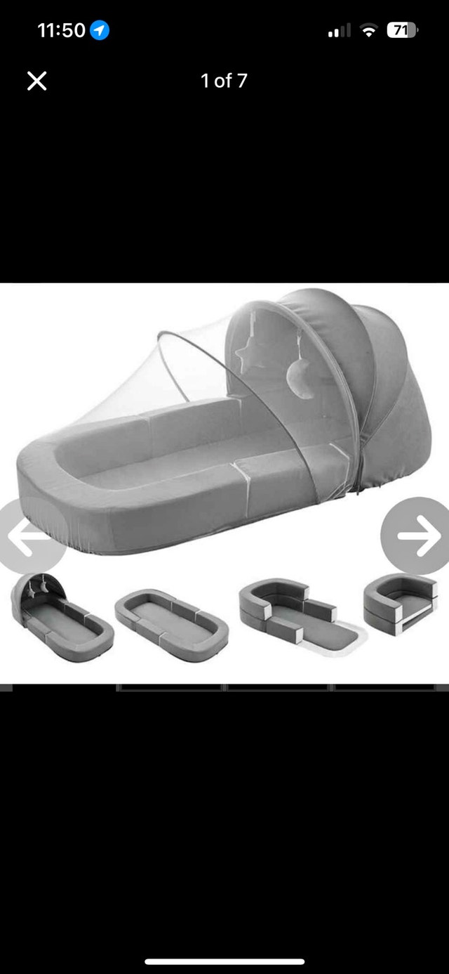 DAOLUAN 2-in-1 Foldable Baby Travel Bassinet & Convertible Sofa