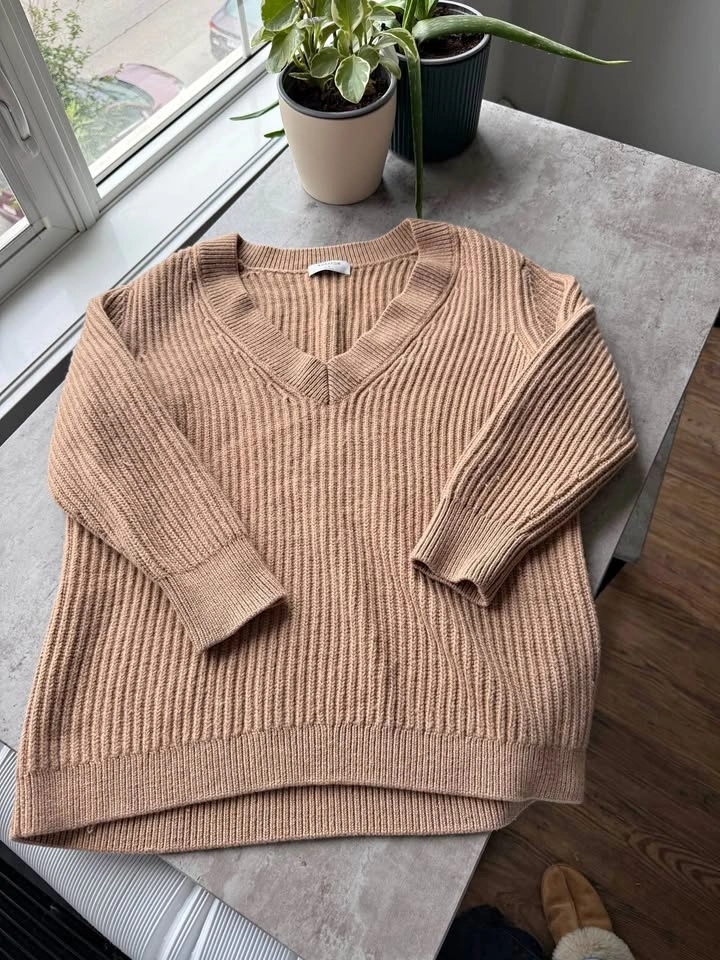 Babaton Aritzia Oversized Sweater