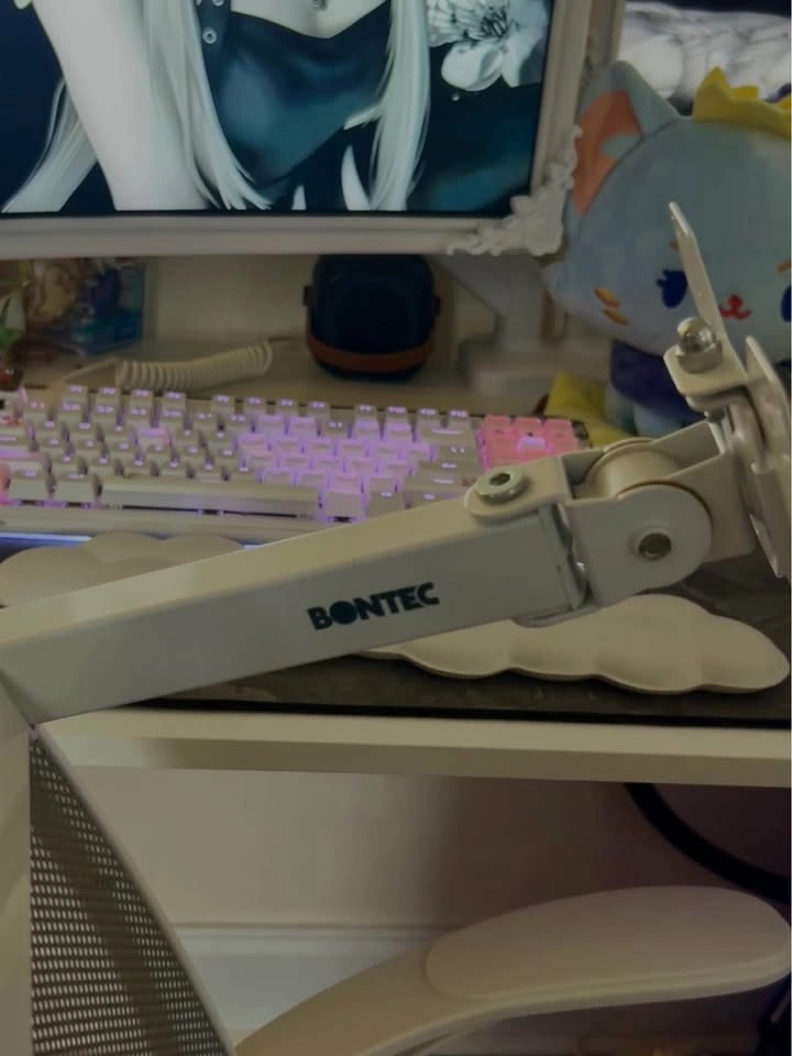 Bontec Dual Monitor Desk Mount - White - photo 2