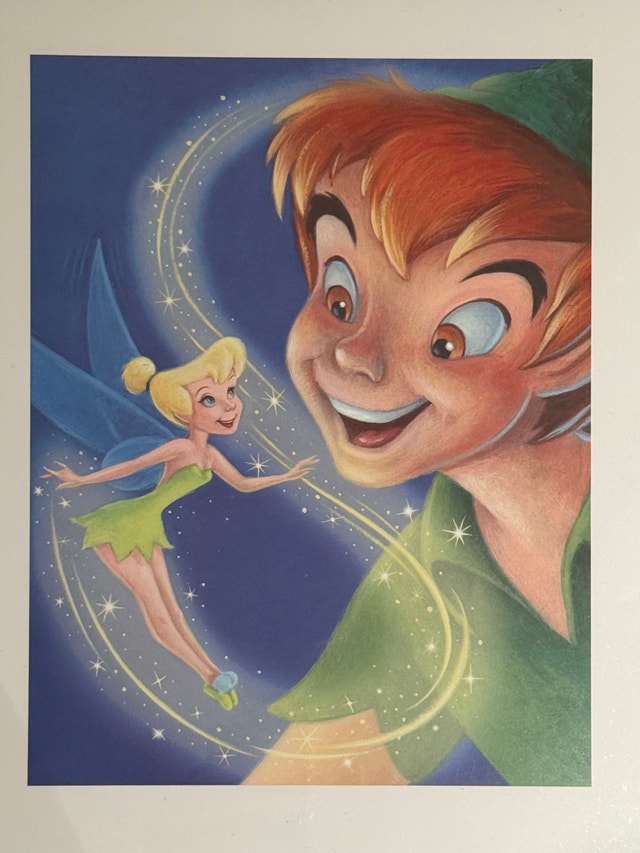 Disney Peter Pan and Tinker Bell Framed Art - photo 2
