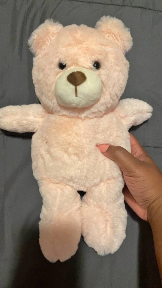 Pink Plush Teddy Bear with Heart Embroidery