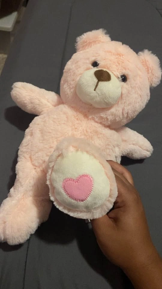 Pink Plush Teddy Bear with Heart Embroidery - photo 2