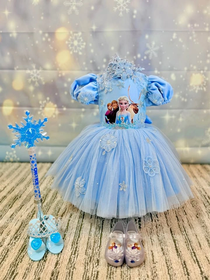Disney Frozen Elsa Gown – Size 4–5T