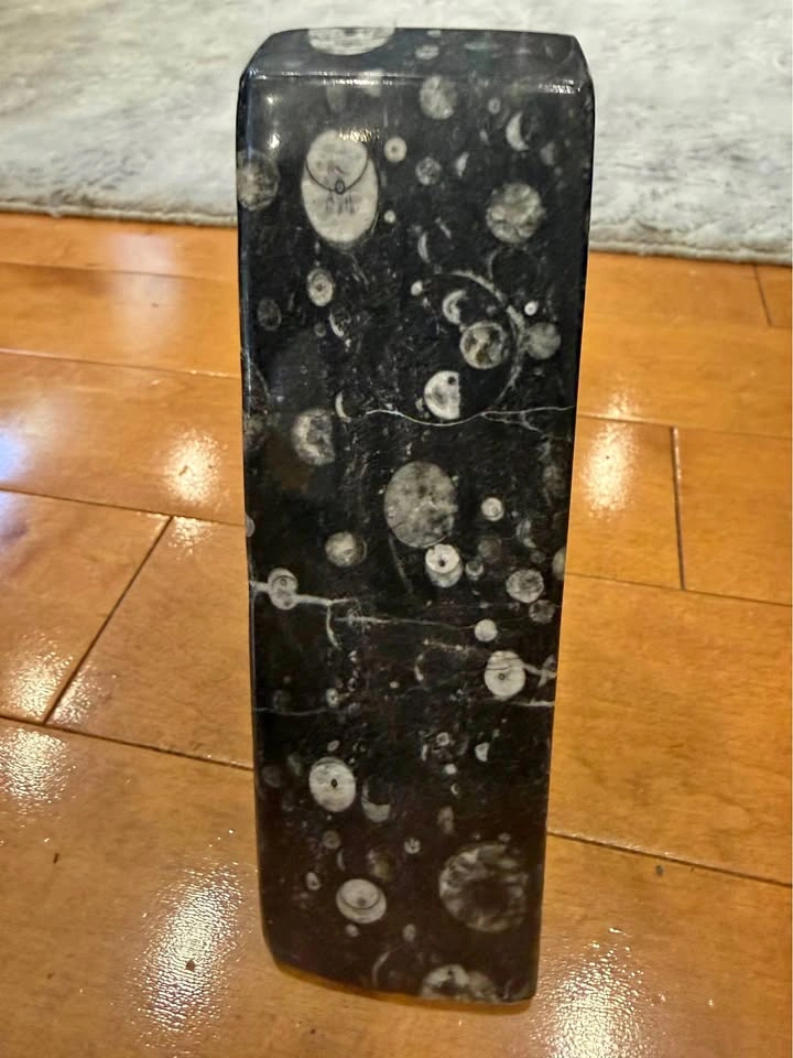 Polished Orthoceras Fossil Stone Sculpture