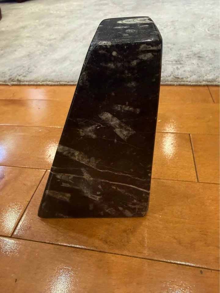 Polished Orthoceras Fossil Stone Sculpture - photo 2