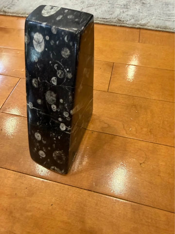 Polished Orthoceras Fossil Stone Sculpture - photo 3