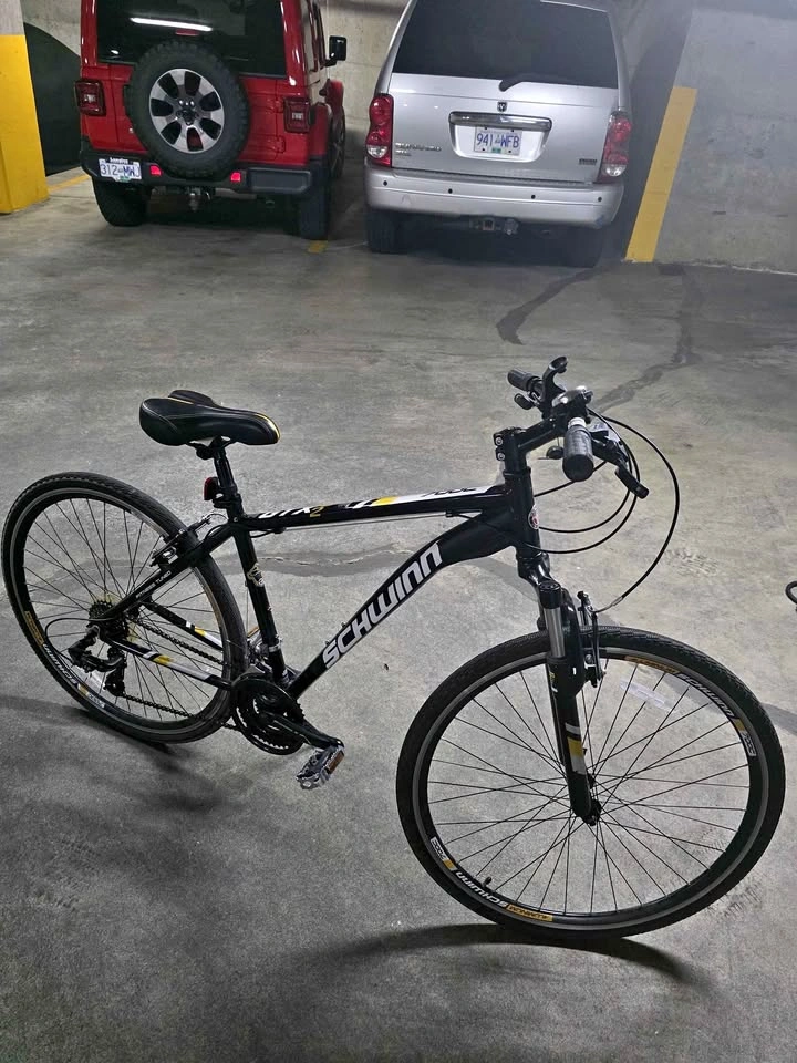 Schwinn GTX2 hybrid bike