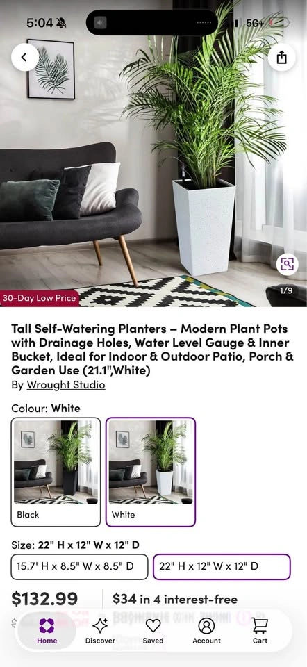 Wrought Studio Tall Self-Watering Planter