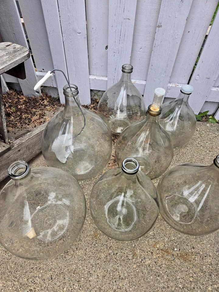 Vintage Glass Demijohn Carboys / Italian Glass Jugs (4 remaining