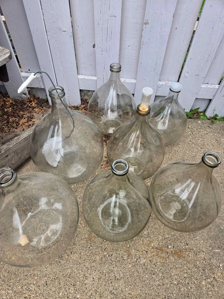 Vintage Glass Demijohn Carboys / Italian Glass Jugs (4 remaining - photo 2