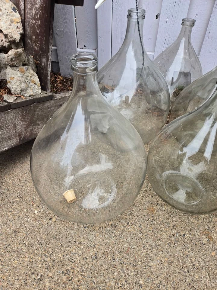 Vintage Glass Demijohn Carboys / Italian Glass Jugs (4 remaining - photo 3