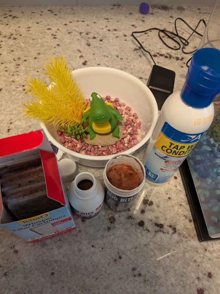 Beta fish kit - photo 2