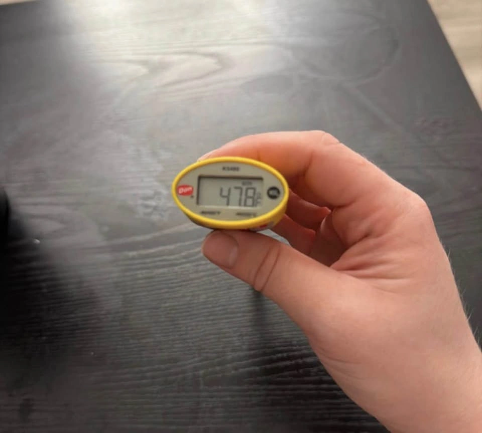 food thermometer - photo 3