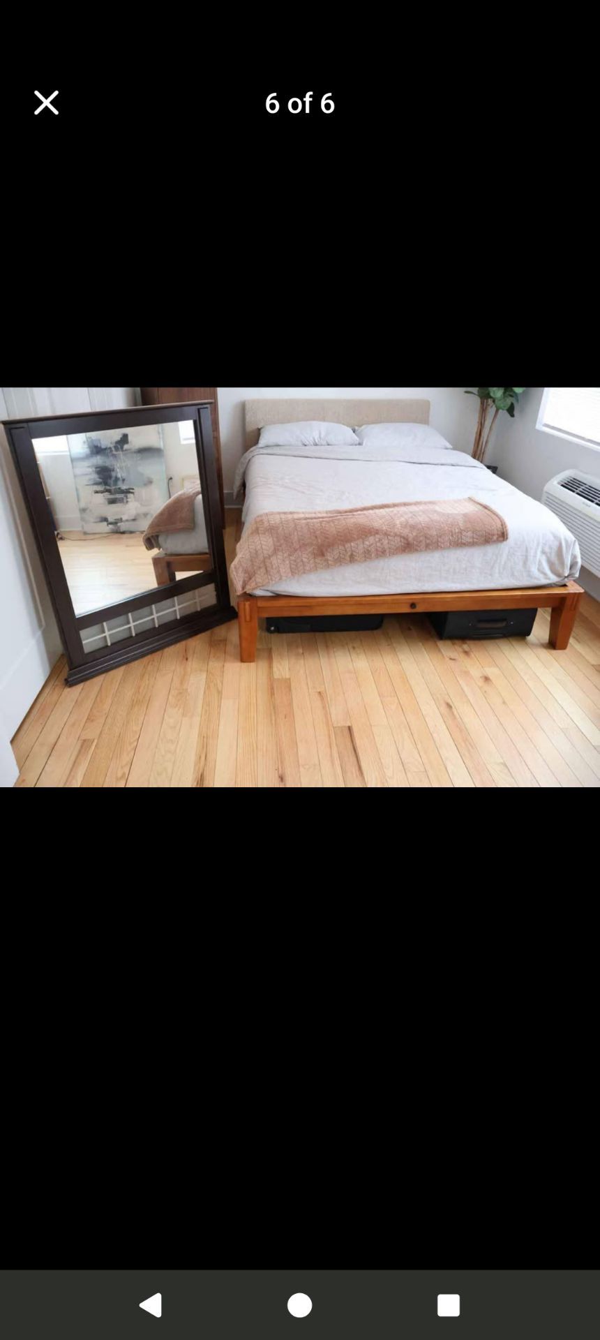 Large Decorative Mirror (2 Types)