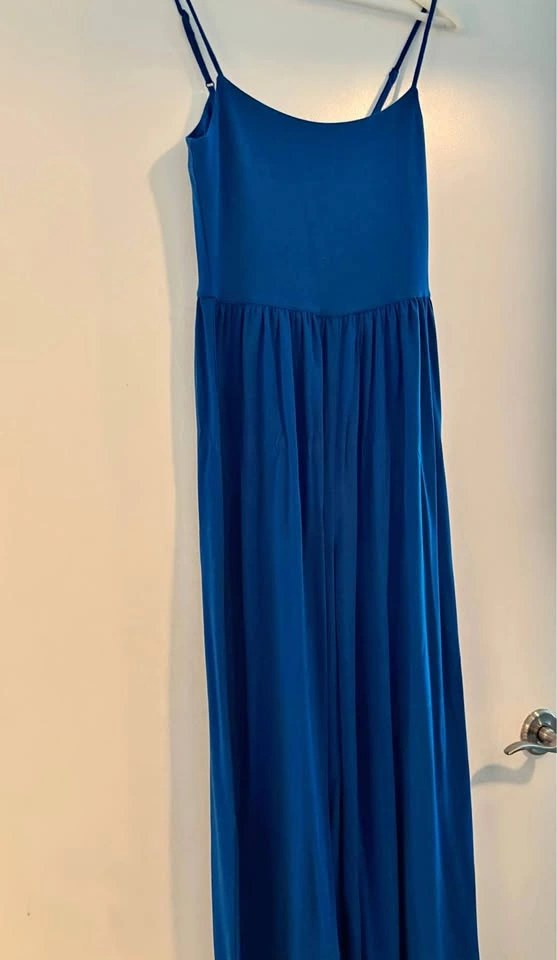 Aritzia/ Wilfred Blue jumpsuit