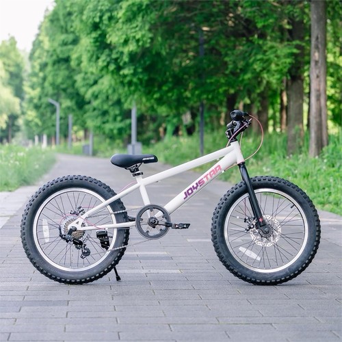 JOYSTAR 20 Inch Kids Mountain Bikes, 7 Speed Kids Bike