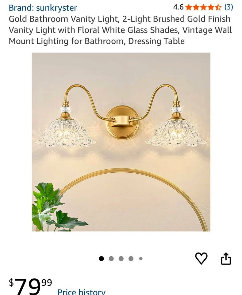 Bathroom vanity light
