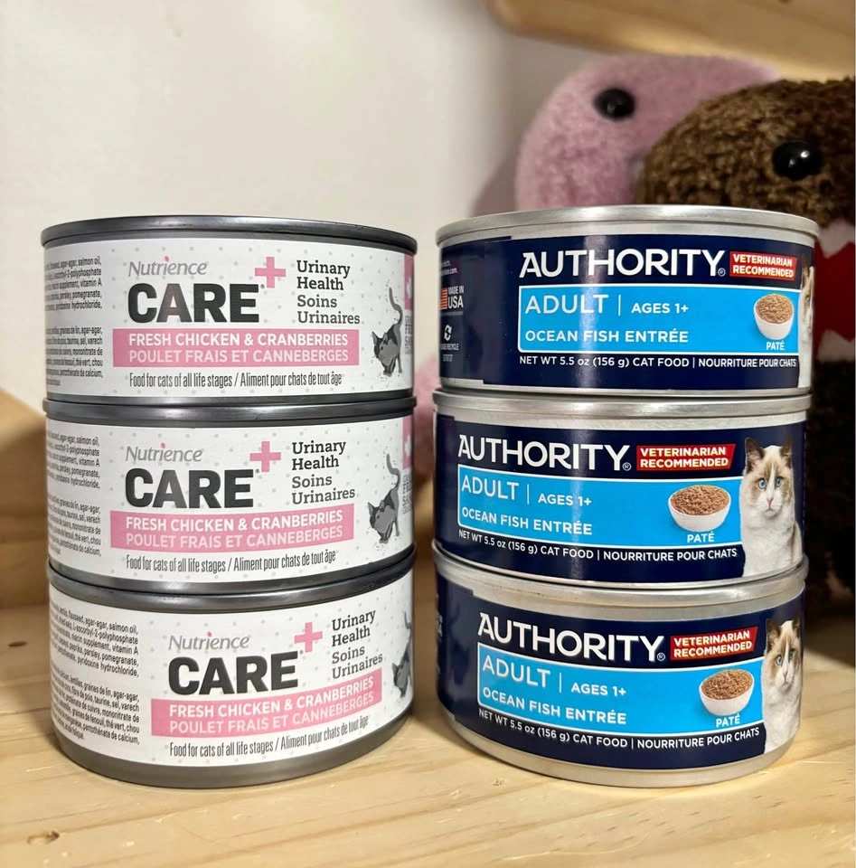 wet cat food (nutrience, authority)