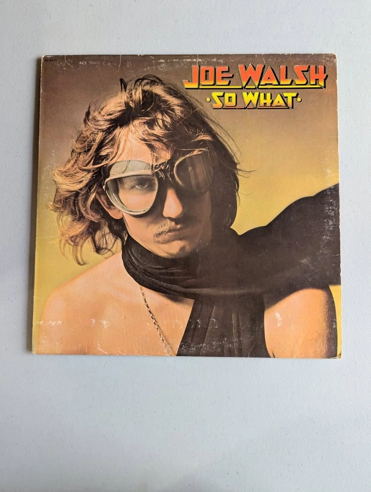 Huge Vinyl Lot - photo 3