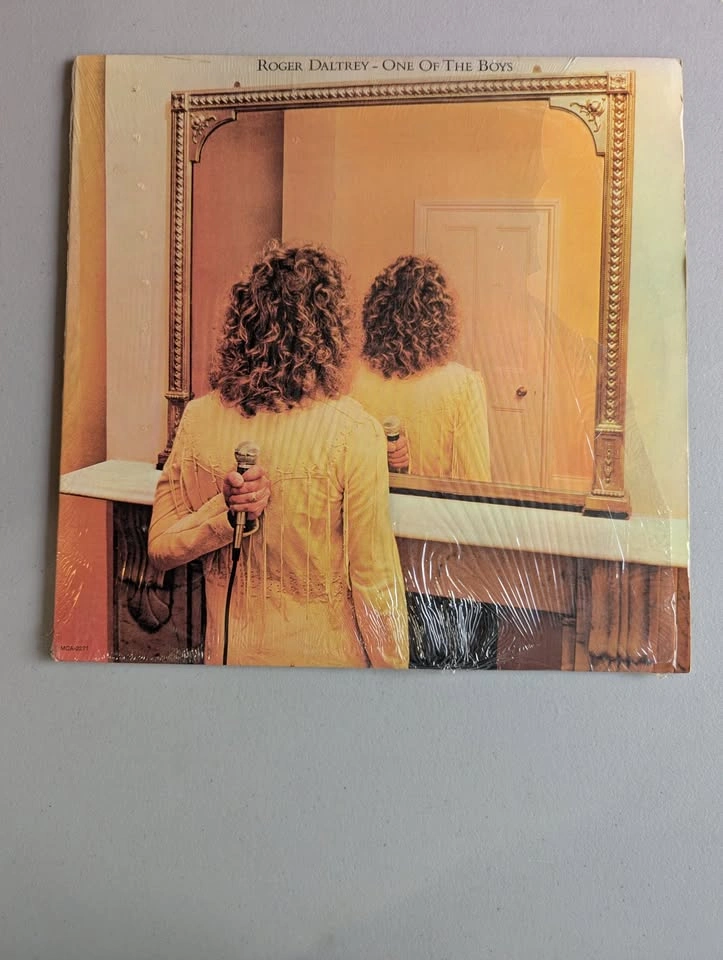 Huge Vinyl Lot - photo 4