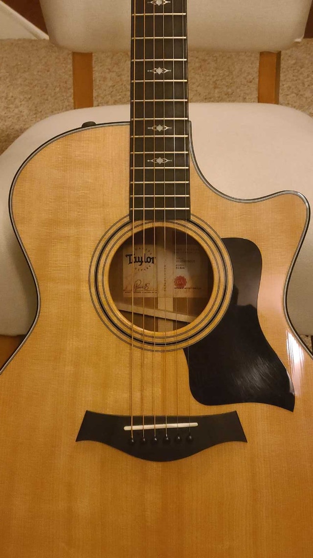Taylor 314 ce Grand Auditorium Acoustic Guitar - photo 3
