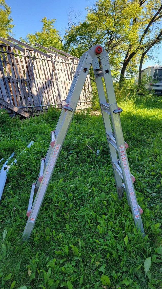 Little Giant M17 Ladder