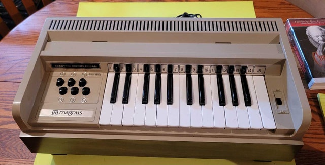 Vintage Electric Chord Organ - photo 2