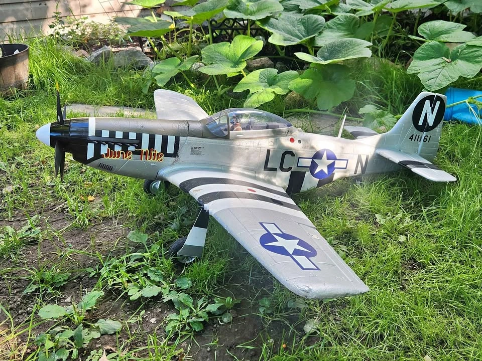 Eflite June Nite P-51 Mustang