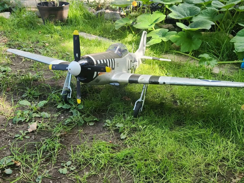 Eflite June Nite P-51 Mustang - photo 3