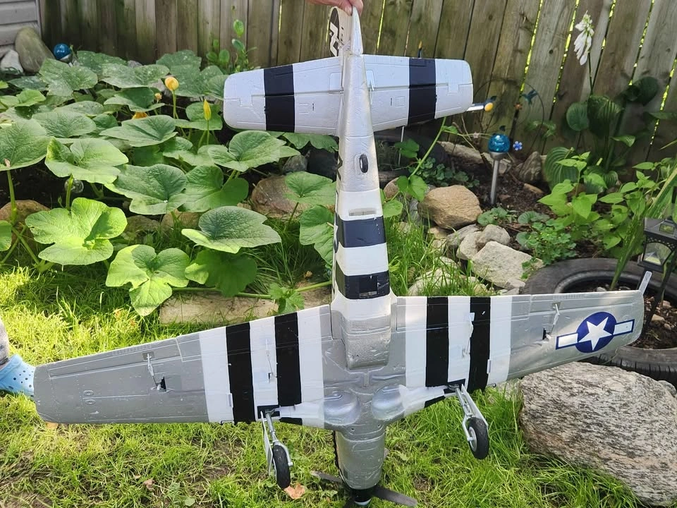 Eflite June Nite P-51 Mustang - photo 5